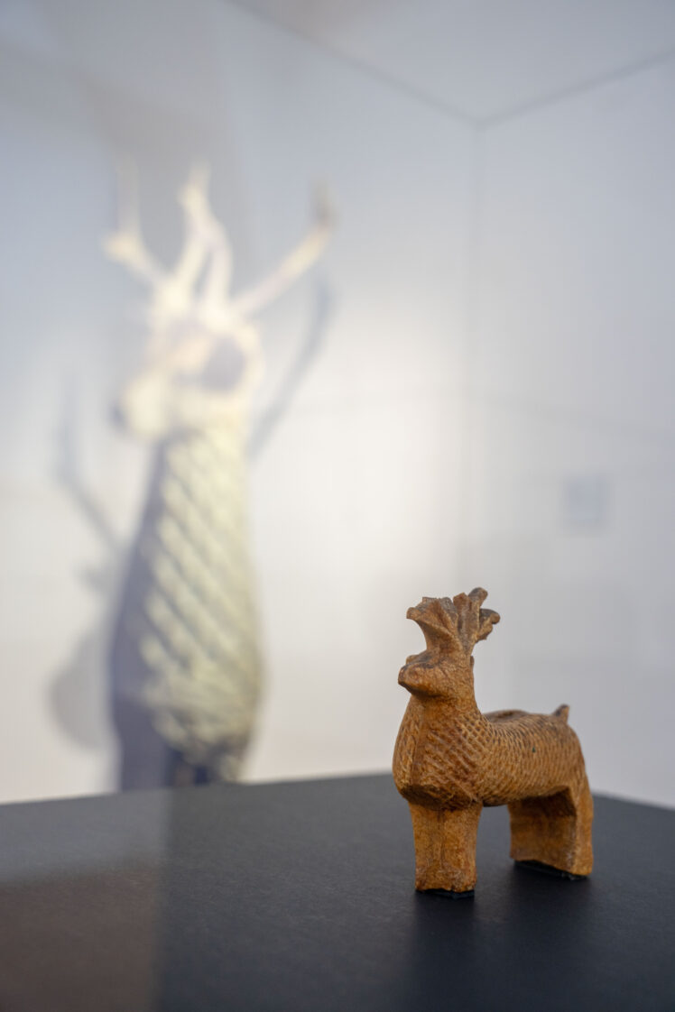 Rar & Bizarr, Ausstellungsansicht © Salzburg Museum/Maurice Rigaud