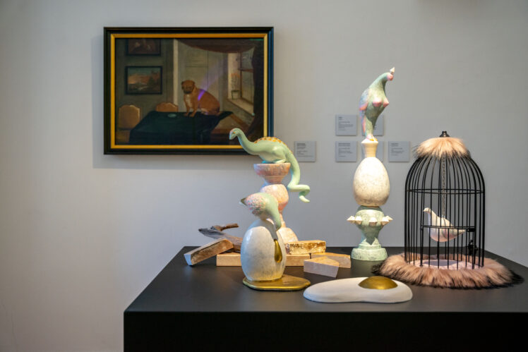 Rar & Bizarr, Ausstellungsansicht © Salzburg Museum/Maurice Rigaud