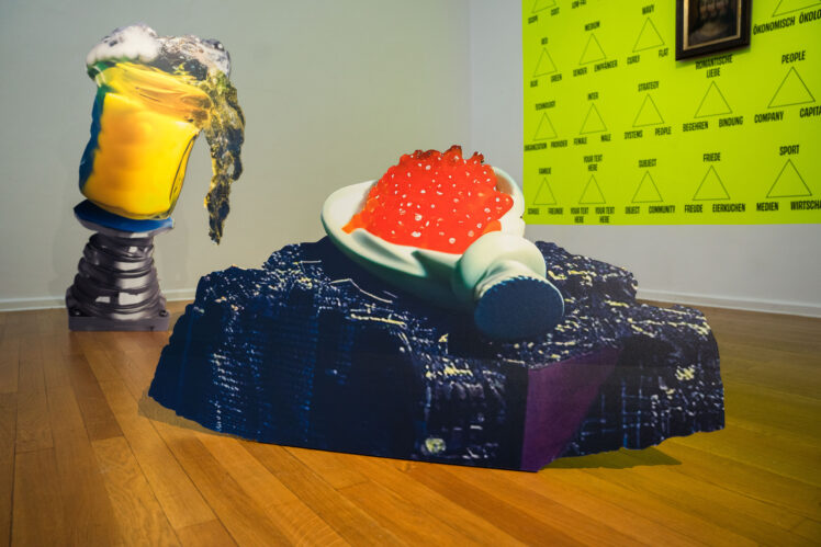 Rar & Bizarr, Ausstellungsansicht © Salzburg Museum/Maurice Rigaud