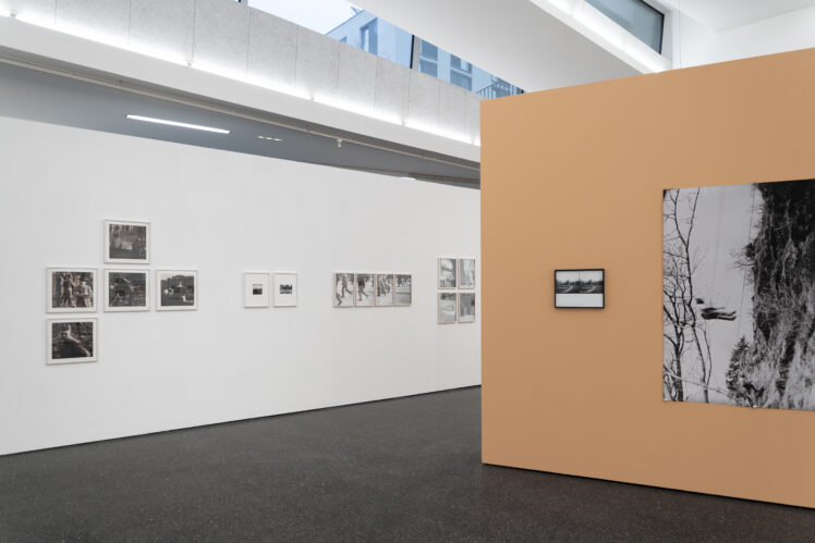 Ausstellungsansicht, großer Ausstellungsraum © Salzburg Museum/Helena Kalleitner