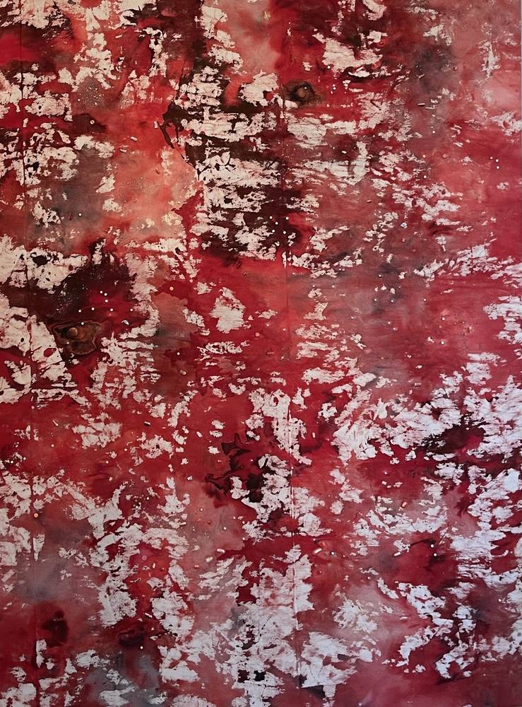 Monika Kus Pico, Womens Blood Cells – For Irma, 2023, Medizinische Produkte auf Leinwand 200 x 150 cm, Inv.-Nr. 1226-2024