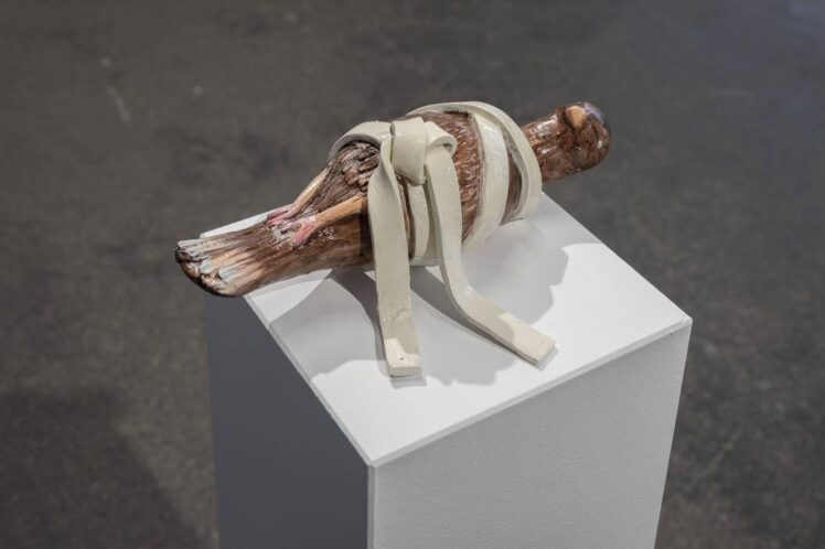 Tina Hainschwang, Bird 2024, Ton, Avcyl, 10 x 27 x 14 cm, Inv.-Nr. 1225-2024