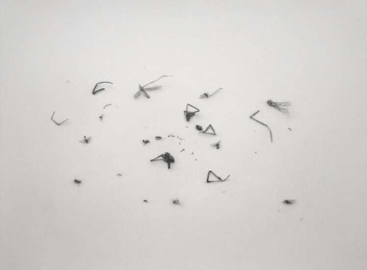 Erich Gruber, Rest, 2016, Bleistift auf Büttenpapier, Fotocredit: Erich Gruber, Ankauf Galerie Welz Salzburg