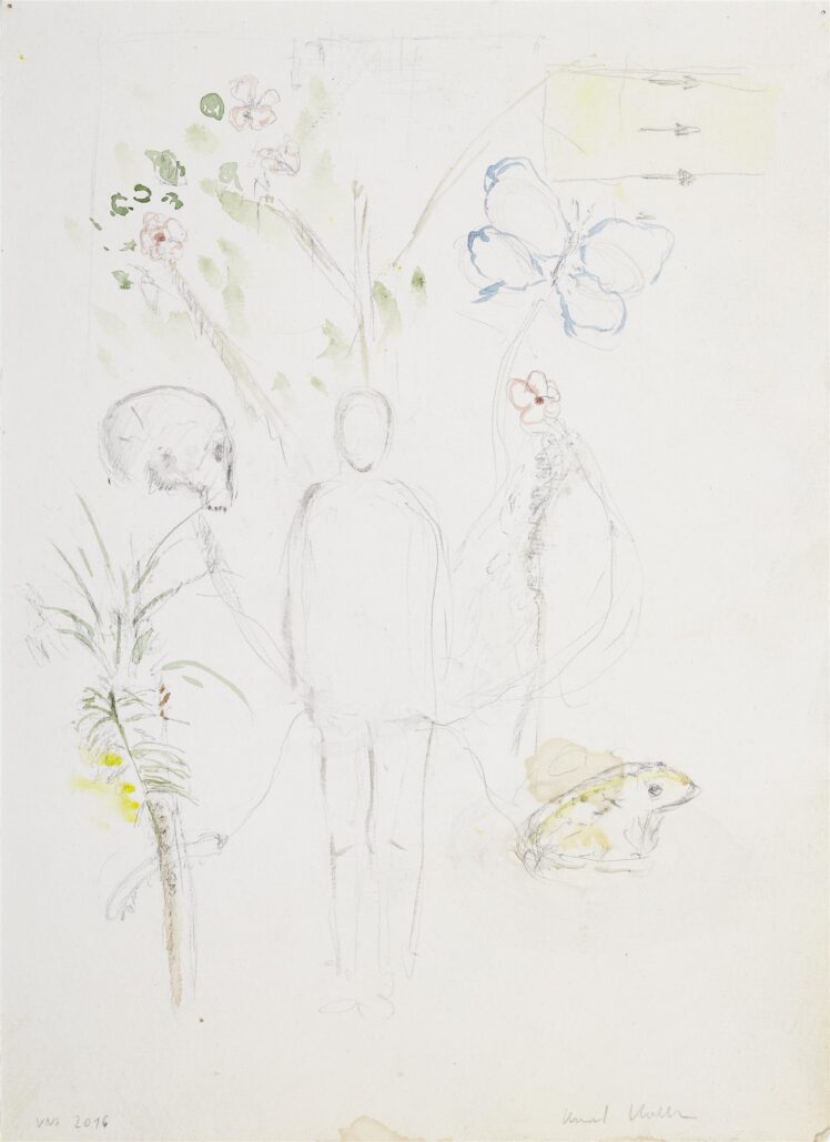 Koller Bernd, Schädel und Ochsenfrosch, 2016, Aquarell und Mischtechnik auf Papier, Ankauf bei Galerie Heike Curtze, Wien