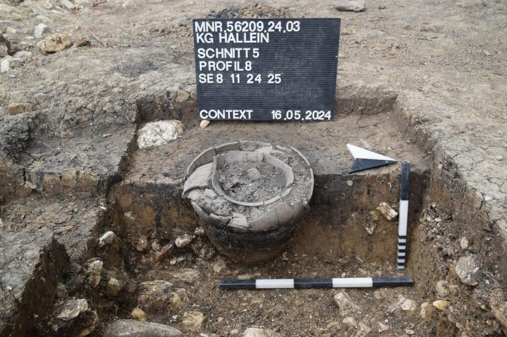 © Keltenmuseum Hallein/Context