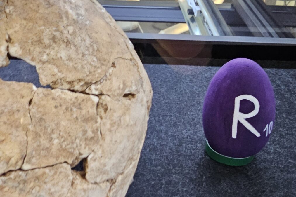 © Keltenmuseum Hallein