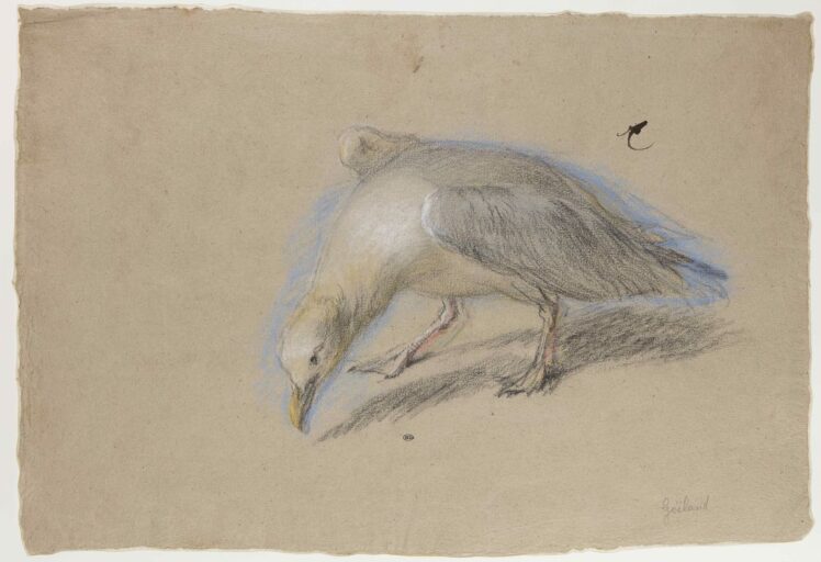 Ausstellungsansicht ©Salzburg Museum