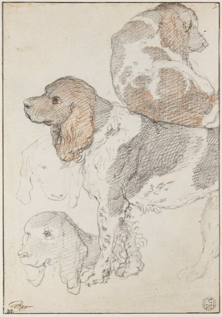 Ausstellungsansicht ©Salzburg Museum