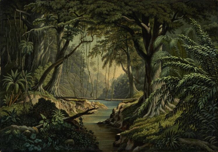 Ausstellungsansicht ©Salzburg Museum