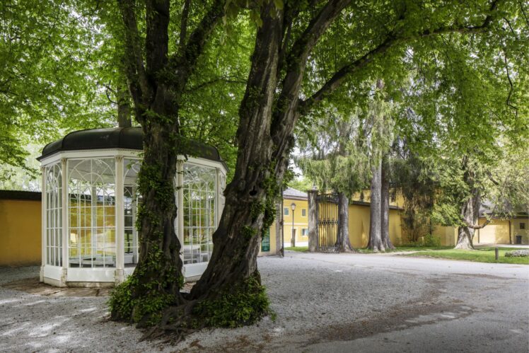 © Salzburg Museum/Andrew Phelps